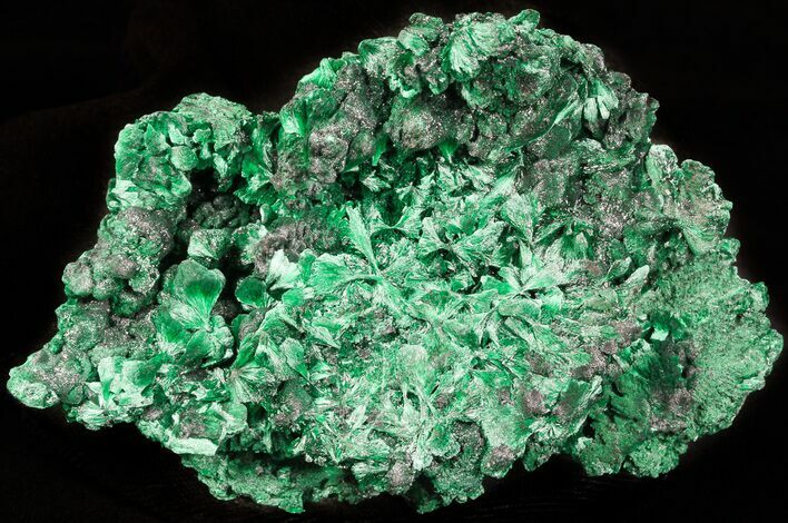 Silky Fibrous Malachite Crystal Cluster - Congo #45325
